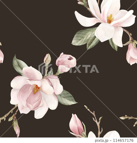 Light pink magnolia flower, buds, sprigs and leaves. Watercolor floral seamless pattern on dark background. Spring blossom for floral fabric, cosmetic packaging, wrapping paper and home textile Light pink magnolia flower, buds, sprigs and leaves. Watercolor floral seamless pattern on dark background. Spring blossom for floral fabric, cosmetic packaging, wrapping paper and home textile 114657176