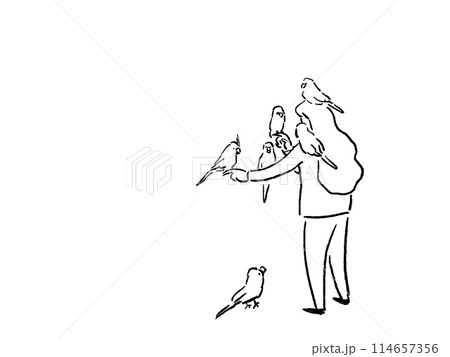手や肩、頭にインコ、鳥を乗せる女性の後ろ姿、線画 114657356
