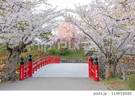 弘前城　桜咲く鷹丘橋 114658088