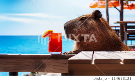 The science of relaxing and enjoying life, a capybara with a cocktail sitting at a table in a cafe and enjoying relaxation 114658121