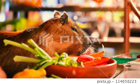 Bowl with vegetables and capybara portrait, vegan cafe promotion poster with copy space Bowl with vegetables and capybara portrait, vegan cafe promotion poster with copy space 114658223
