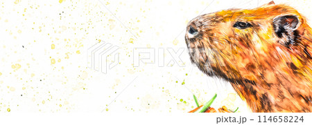 Watercolor drawing of capybara head, advertising poster with copy space 114658224