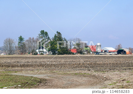 収穫の終わったトウモロコシ畑(北海道芽室町) 収穫の終わったトウモロコシ畑(北海道芽室町) 114658283