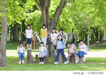 小学一年生　女の子　集合写真 114658300