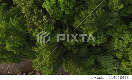 ドローンで上空から撮影した「知床の森」（岩尾別温泉付近／北海道斜里郡斜里町） 114658458