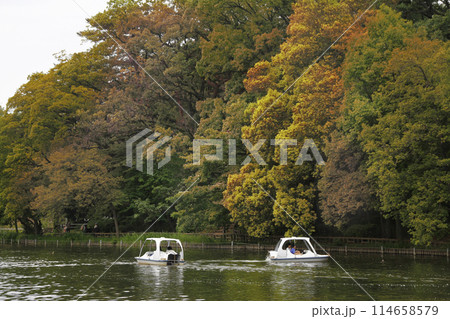 紅葉した木々の下を足漕ぎボートで休日を楽しむ。 114658579