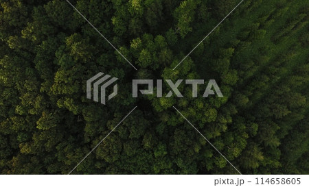 ドローンで上空から撮影した「知床の森」（岩尾別温泉付近／北海道斜里郡斜里町） 114658605
