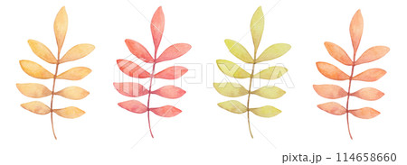 Autumn branches with leaves. Watercolor illustration. Botanical clipart in pastel monochrome colors. Hand drawn isolated art. Floral and plant art. Sketch for seasonal holidays, cards. Thanksgiving. 114658660