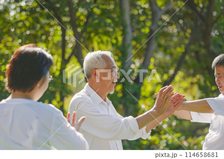 Group of Chinese pensioners training tai chi in the park strengthening their health, smiling mature men and women at daily classes, gymnastics as a lifestyle Group of Chinese pensioners training tai chi in the park strengthening their health, smiling mature men and women at daily classes, gymnastics as a lifestyle 114658681