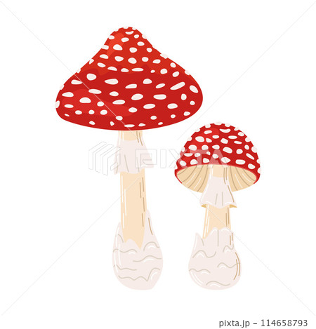 Hand Drawn Fly Agaric Mushrooms Trendy flat style magic fungus isolated on white. 114658793