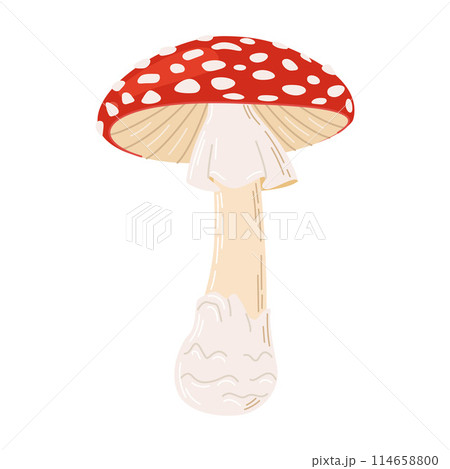 Hand Drawn Fly Agaric Mushroom Trendy flat style magic fungus isolated on white. 114658800