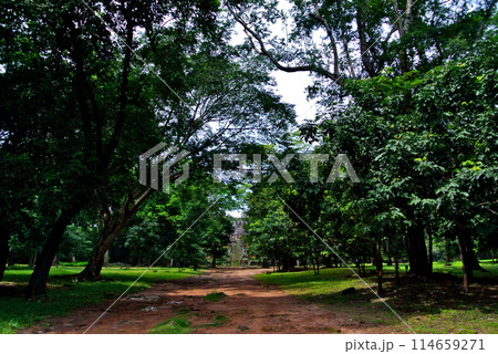 カンボジア・アンコールトム遺跡 114659271