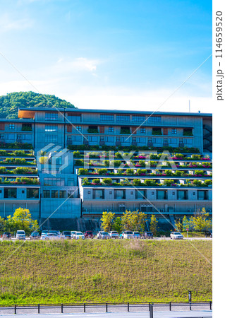 VISON(5月) VISON(5月) 114659520