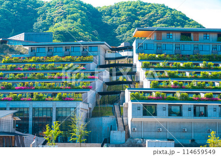 VISON(5月) 114659549