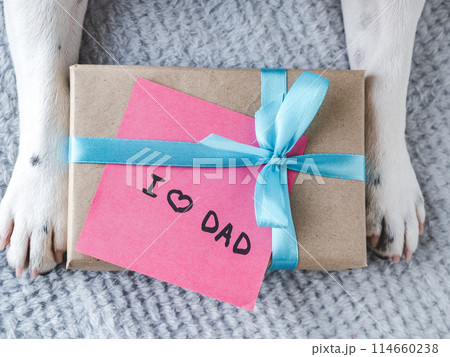Beautiful gift box, dog paws and note Beautiful gift box, dog paws and note 114660238