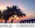 ヤシの木のあるビーチ 114660248