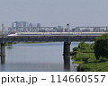 多摩川を渡る新幹線 114660557