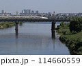 多摩川を渡る新幹線 114660559