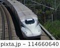 疾走する新幹線　 114660640
