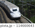 疾走する新幹線　 114660643