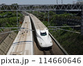 疾走する新幹線　 114660646