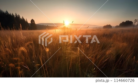 Landscape of grasslands and some trees with sunset in the evening golden hour and mountains in the background. Landscape of grasslands and some trees with sunset in the evening golden hour and mountains in the background. 114660726
