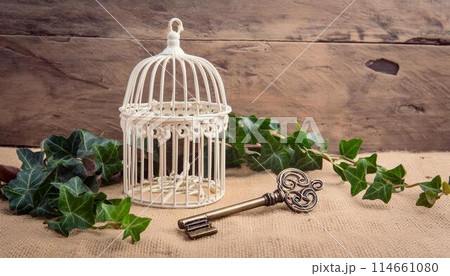 アンティークな鳥かご