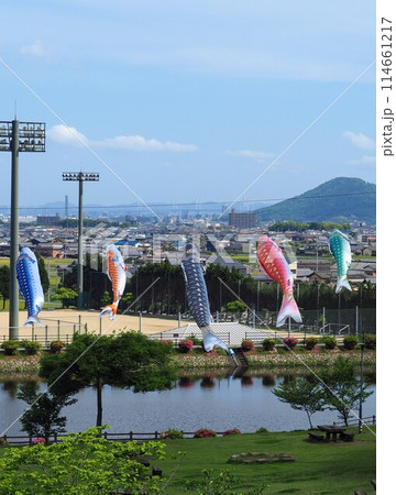 鉢伏ふれあい公園【香川県善通寺市】こいのぼり4 鉢伏ふれあい公園【香川県善通寺市】こいのぼり4 114661217