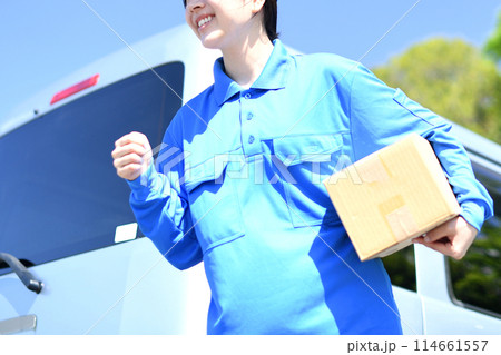 屋外で荷物を運ぶ配送ドライバーの女性 屋外で荷物を運ぶ配送ドライバーの女性 114661557