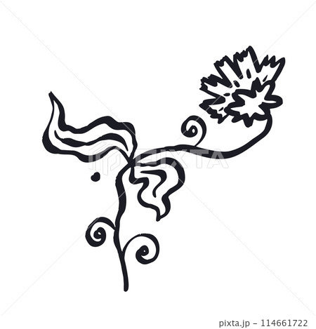Ink brush abstract outlined flower sketch isolated on white Ink brush abstract outlined flower sketch isolated on white 114661722
