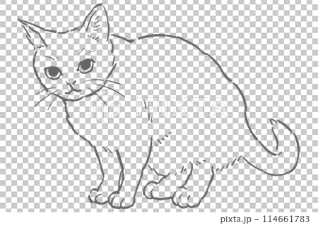 一隻坐著的貓的單色線畫插圖 114661783
