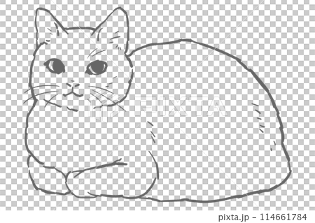 坐在桶子上的貓的單色線畫插圖 坐在桶子上的貓的單色線畫插圖 114661784
