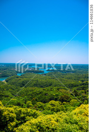 横山展望台(5月) 114661836