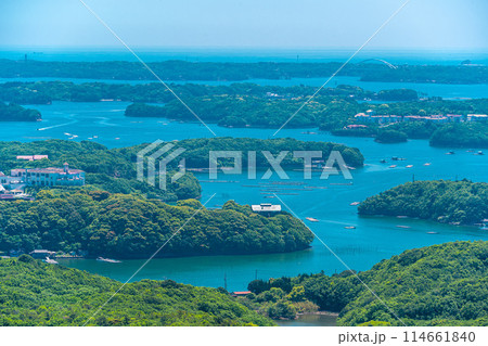 横山展望台(5月) 114661840