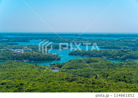 横山展望台(5月) 横山展望台(5月) 114661852
