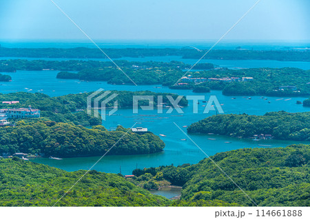 横山展望台(5月) 横山展望台(5月) 114661888