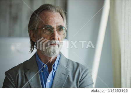 Portrait of senior handsome man wear eyeglasses with grey hair and beard arms crossed look out 114663166