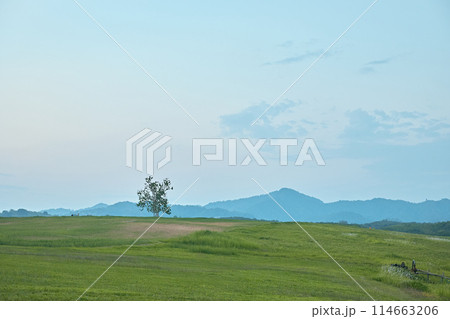 the mountains and hills at Singha Park the mountains and hills at Singha Park 114663206