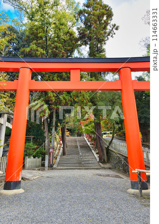 京都　吉田神社の美しい朱色の鳥居（京都市左京区） 114663331