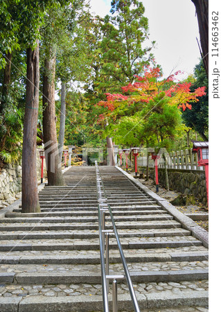 京都　吉田神社（京都市左京区） 114663462