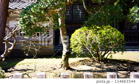 日本庭園 川越城 日本庭園 川越城 114663544