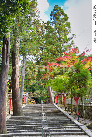 京都 吉田神社(京都市左京区) 京都 吉田神社(京都市左京区) 114663566