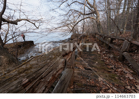 十和田湖子ノ口付近の朽ち果てた木橋 114663703