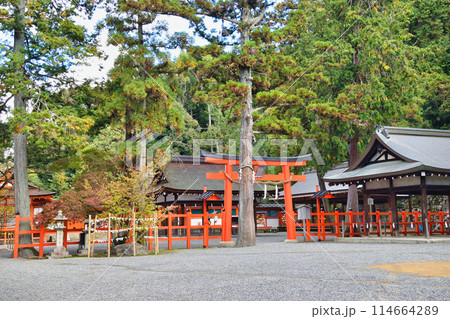 京都 吉田神社 本宮(京都市左京区) 京都 吉田神社 本宮(京都市左京区) 114664289
