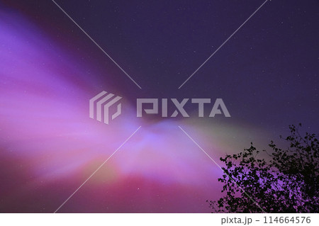 Beautiful polar lights in Olstrup, Denmark in May 2024 114664576