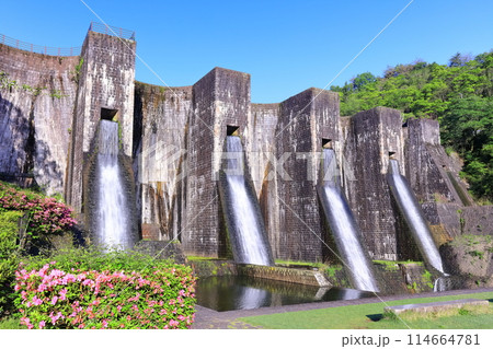 【香川県】ツツジ咲く春の豊稔池ダム（豊稔池堰堤）国最初の石積式多連マルチプルアーチダム 114664781