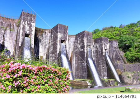 【香川県】ツツジ咲く春の豊稔池ダム（豊稔池堰堤）国最初の石積式多連マルチプルアーチダム 114664793