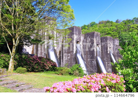 【香川県】ツツジ咲く春の豊稔池ダム（豊稔池堰堤）国最初の石積式多連マルチプルアーチダム 114664796