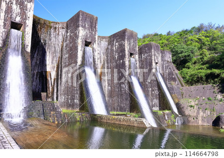 【香川県】ツツジ咲く春の豊稔池ダム（豊稔池堰堤）国最初の石積式多連マルチプルアーチダム 114664798