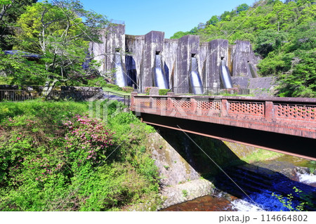 【香川県】ツツジ咲く春の豊稔池ダム(豊稔池堰堤)国最初の石積式多連マルチプルアーチダム 【香川県】ツツジ咲く春の豊稔池ダム(豊稔池堰堤)国最初の石積式多連マルチプルアーチダム 114664802